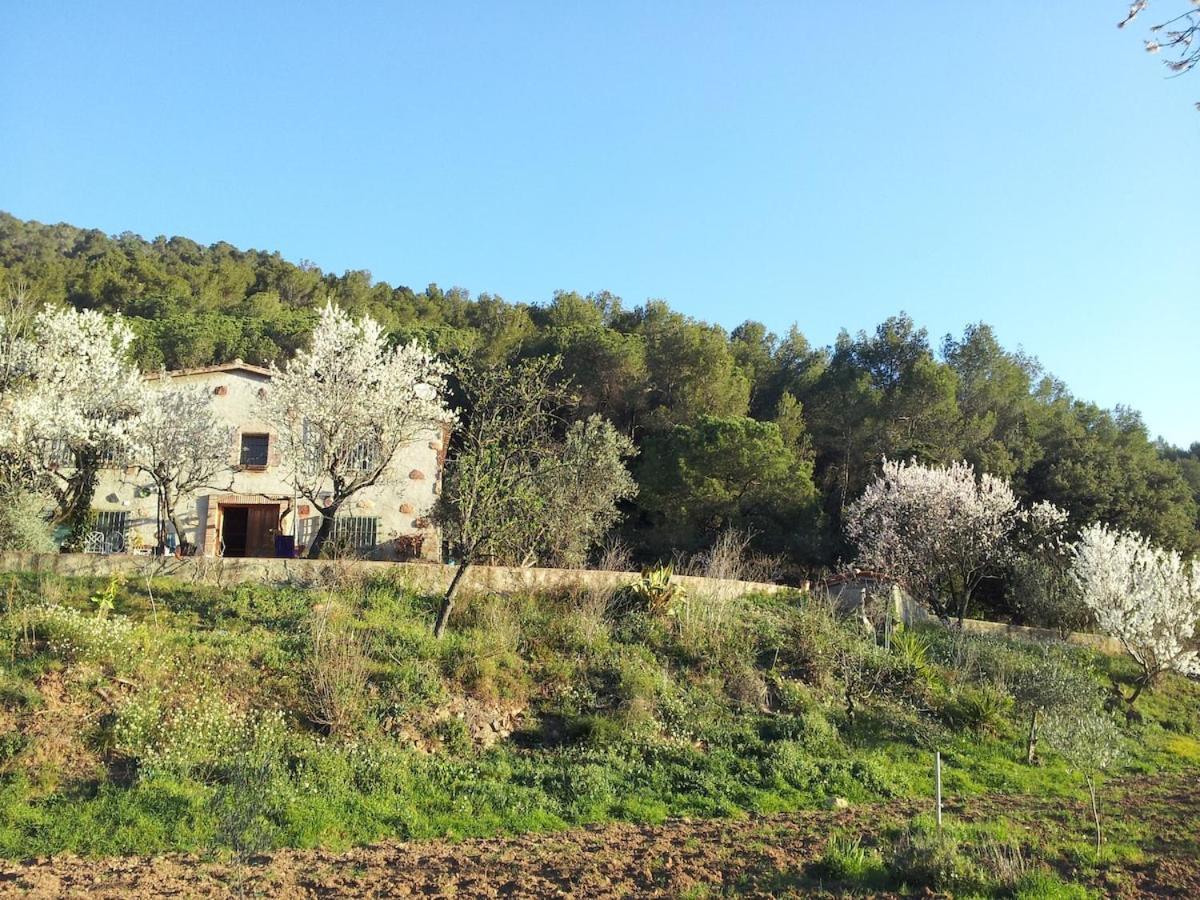 Masia Can Sunyer Agroturismo ラ・ガリガ エクステリア 写真