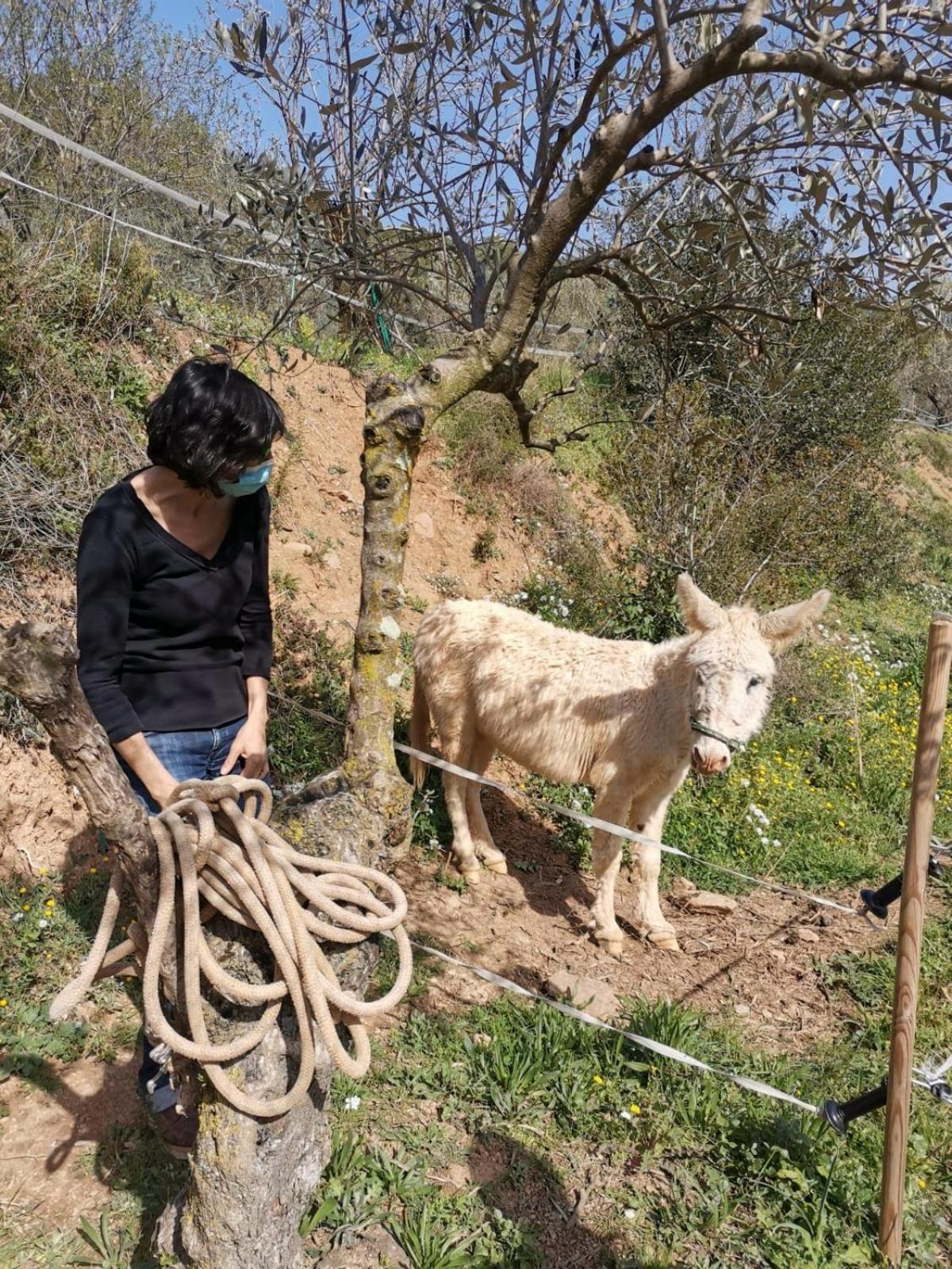 Masia Can Sunyer Agroturismo ラ・ガリガ エクステリア 写真